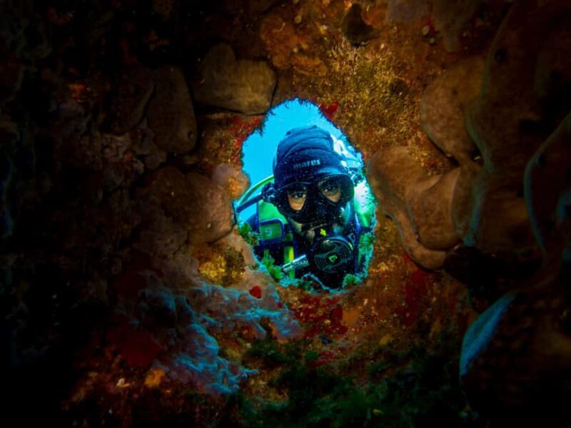 La Maddalena & Lavezzi : scuba diving for certified divers. - An In-Depth Look at the La Maddalena & Lavezzi Dive Tour