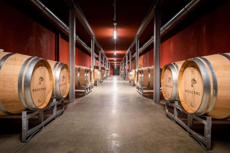 La Morra: A Journey through Barolo's Finest Vintages - Who Will Love This Tour?