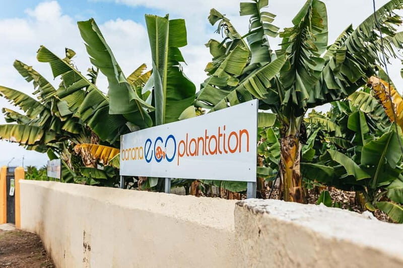 La Orotava: Eco Banana Plantation Tour with Banana Liquor - Final Thoughts