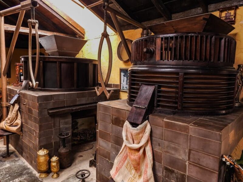 La Orotava: guided tour with gofio tasting, Los Molinos de la Villa - Key Points