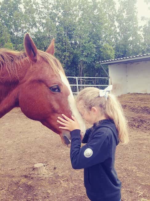 La Orotava: Workshop "Natural Horsemanship" and Permaculture - What is This Experience About?
