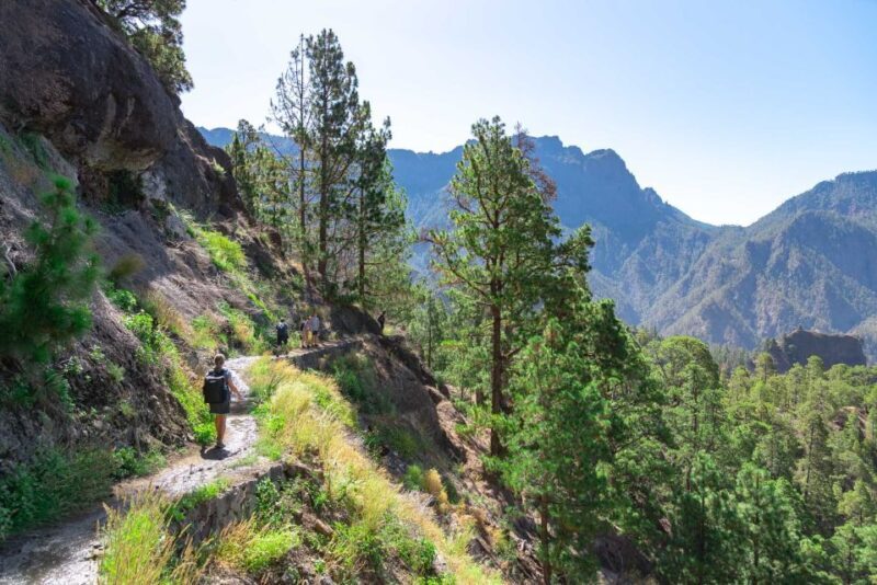 La Palma: Caldera de Taburiente National Park Guided Hike - The Sum Up