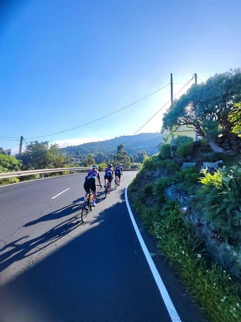 La Palma: Discover the south of the island on a road bike - An In-Depth Look at the Tour