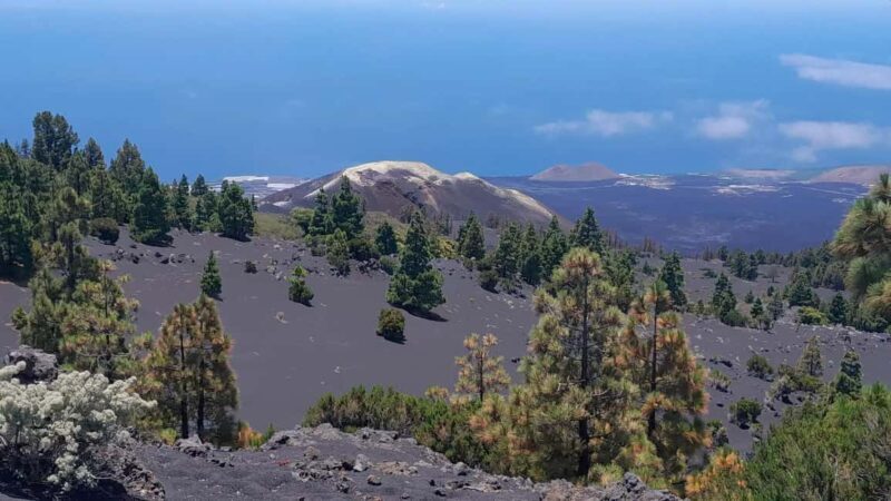 La Palma: Guided e-bike tour (trekking) - Introduction: What You Need to Know