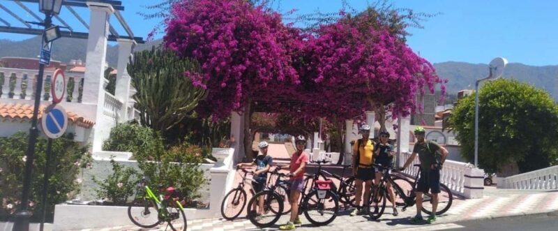 La Palma: Guided e-bike tour (trekking) - Who Should Consider This Tour?