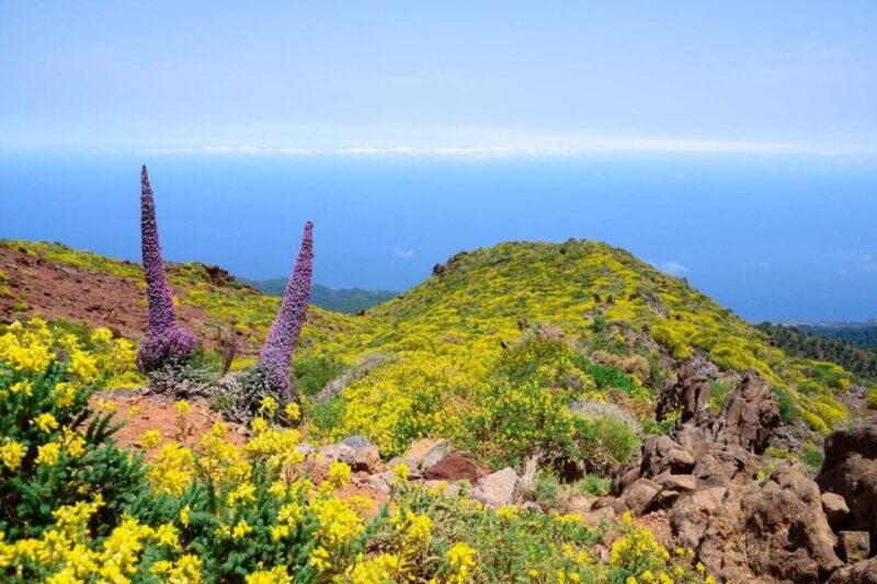 La Palma: Guided Trekking Tour to El Roque de los Muchachos - Frequently Asked Questions