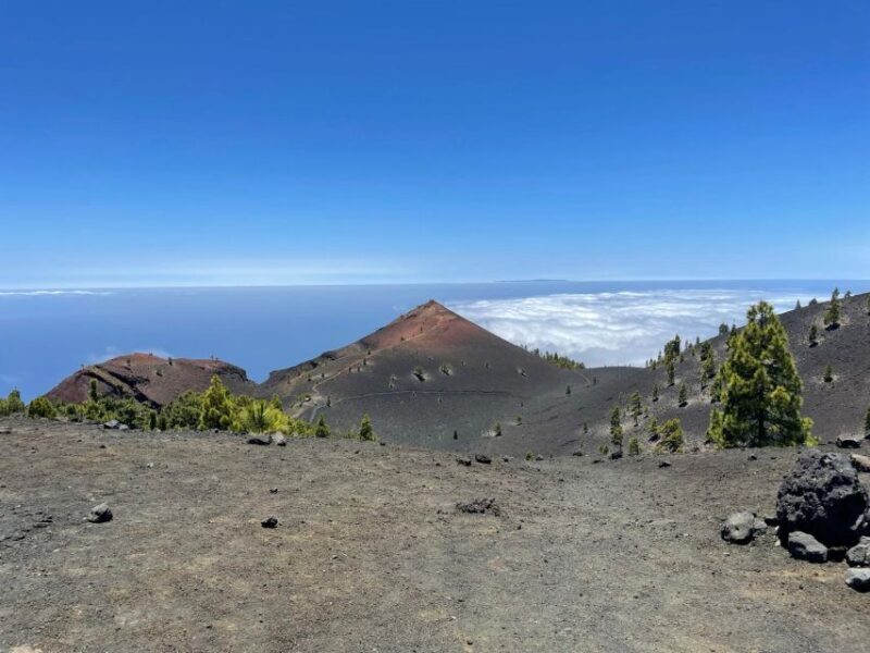La Palma: Guided trekking tour to volcanoes south - An In-Depth Look at the La Palma Volcanoes Tour