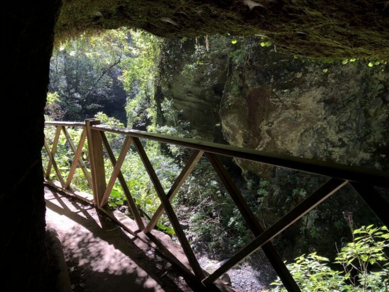 La Palma: North Island Bus Tour with Ron Aldea Distillery - FAQ