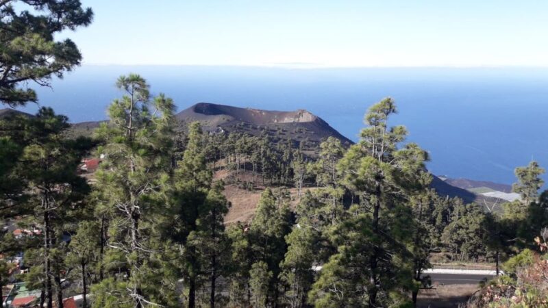La Palma: San Antonio and Teneguia Volcanos Tour by 4x4 Bus - A Day in the South of La Palma: What to Expect