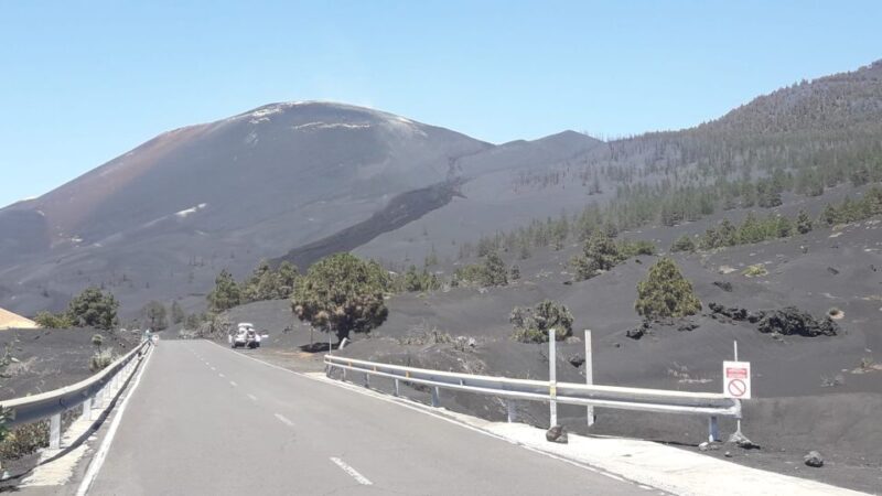 La Palma: San Antonio and Teneguia Volcanos Tour by 4x4 Bus - The Value Proposition