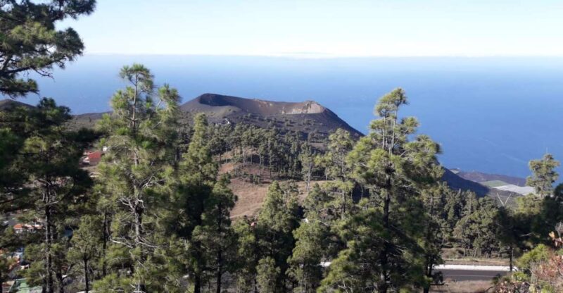 La Palma: San Antonio and Teneguia Volcanos Tour by 4x4 Bus - Who Should Consider This Tour?