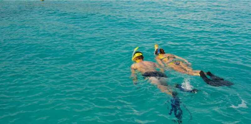 La Palma : Snorkeling Tour in Los Cancajos - Final Thoughts