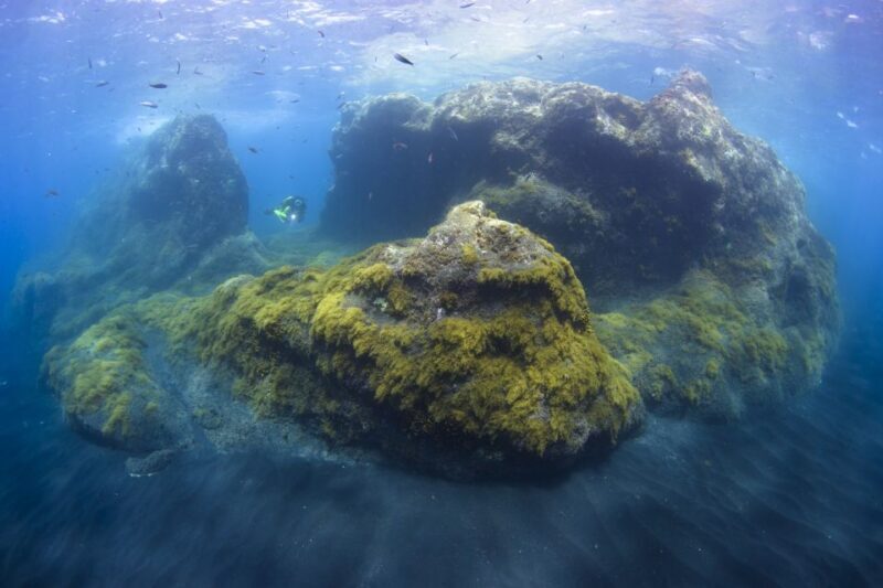 La Palma: SSI Try Scuba Program - Downsides and Considerations