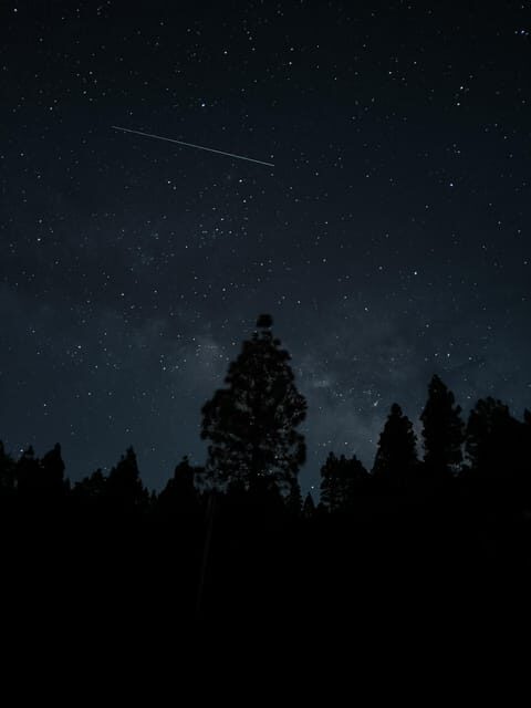 La Palma: Stargazing in the best sky in the world - Why This Tour Works Well