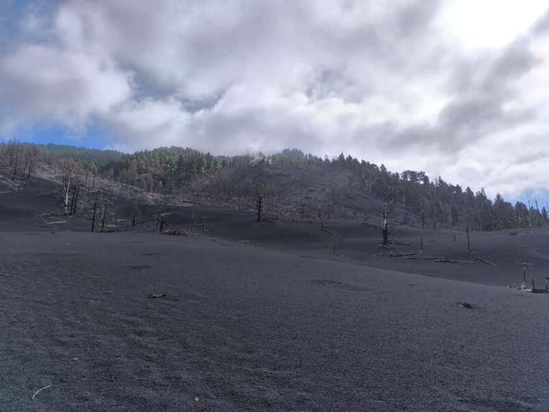 La Palma: Tajogaite Volcano Guided Hike ( ES-ED ) - FAQs