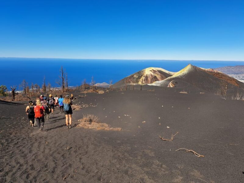 La Palma: Tajogaite Volcano Guided Trek - Who Will Love This Experience?