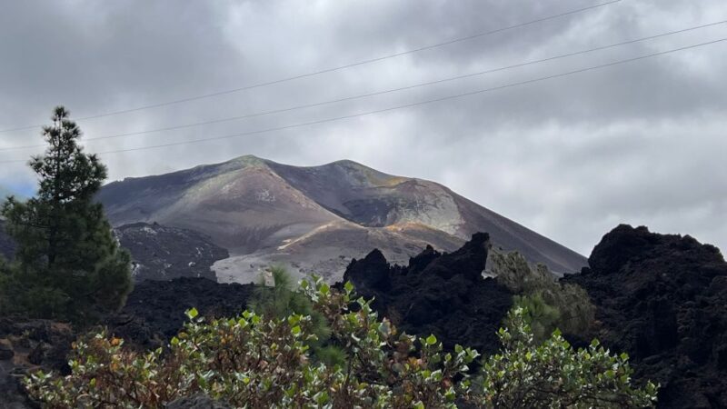 La Palma Tour: Santa Cruz, Cumbrecita and Volcanic Landscape - The Sum Up