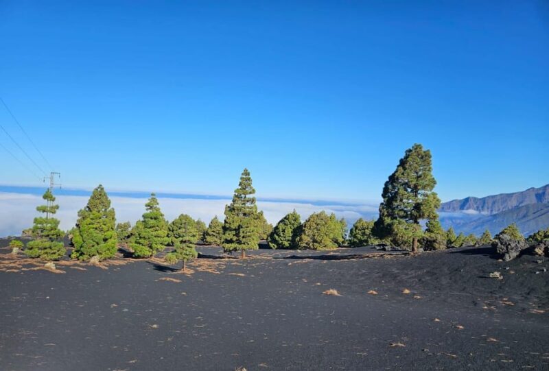 La Palma: Tour to the new Tajogaite volcano 360º. - The Experience in Detail
