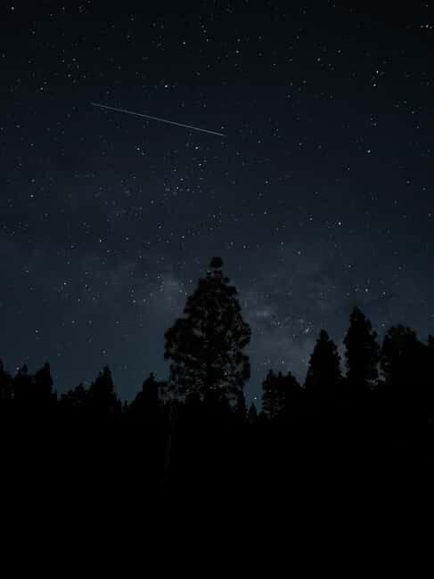 La Palma: VIP Night Sky Tour With Your Own Telescope - Key Points