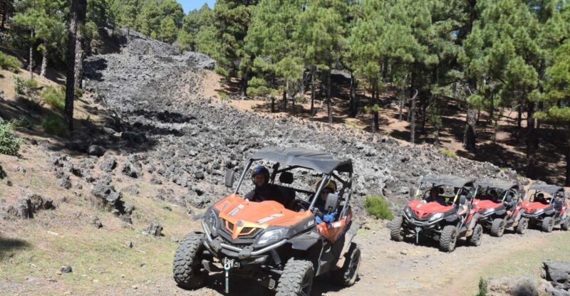 La Palma: Volcano Route Buggy Tour - Exploring La Palma with the Volcano Route Buggy Tour