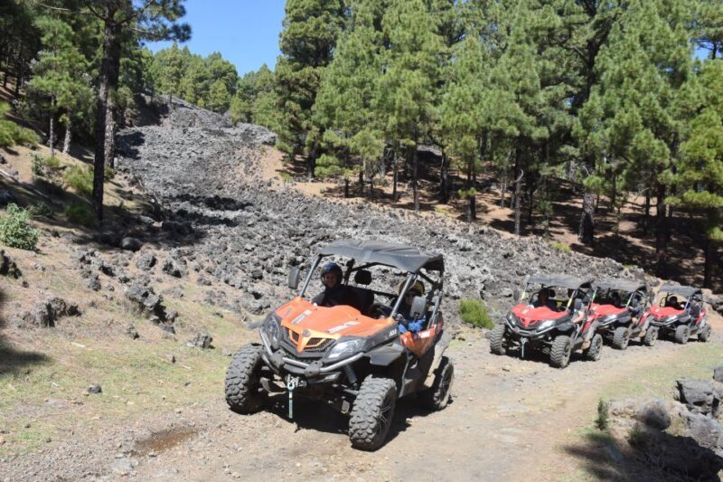 La Palma: Volcano Route Buggy Tour - The Scenic Drive and Views