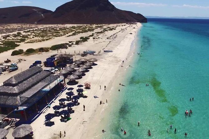 La Paz and Todos Santos City and Beaches Tour - An In-Depth Look at the La Paz and Todos Santos Tour