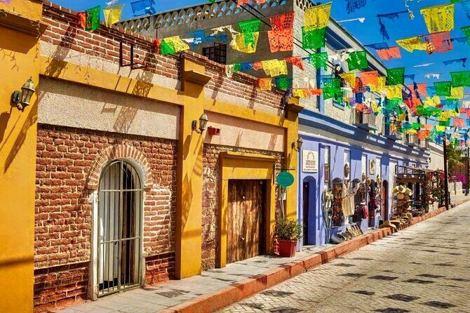 La Paz and Todos Santos Day Trip with Lunch - What’s Included and What’s Not