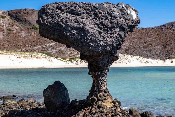 La Paz City Tour from Cabo - Final Thoughts