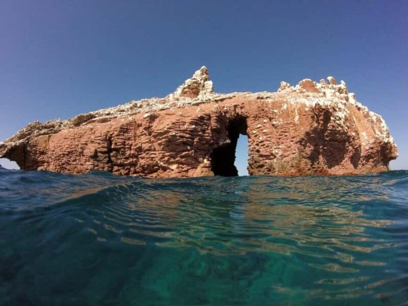 La Paz: Espíritu Santo Island Snorkeling Tour with Lunch - Setting the Scene: What to Expect from the Tour