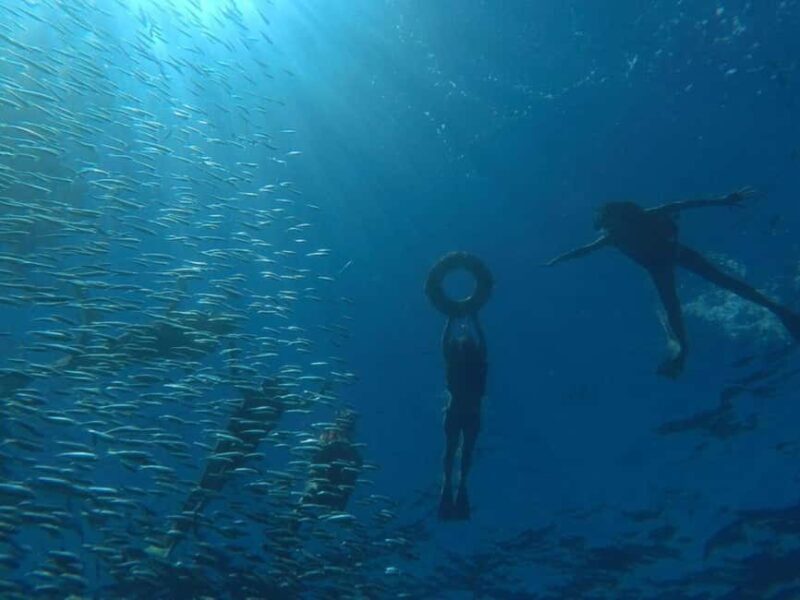 La Paz: Espíritu Santo Island Snorkeling Tour with Lunch - Food & Beverage: A Simple but Satisfying Meal