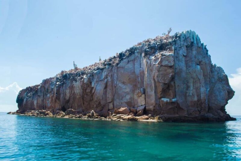 La Paz: Espíritu Santo Island Snorkeling Tour with Lunch - Who This Tour Suits Best