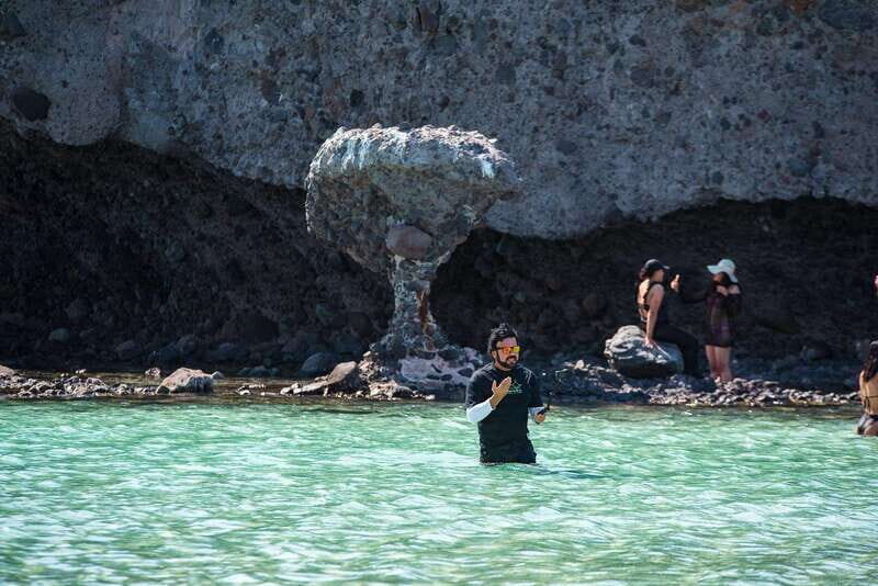 La Paz: Espiritu Santo Island Tour - Watching for Dolphins, Whales, and Other Wildlife