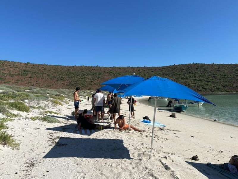 La Paz: Espiritu Santo Island Tour - Final Stop: Balandra Beach
