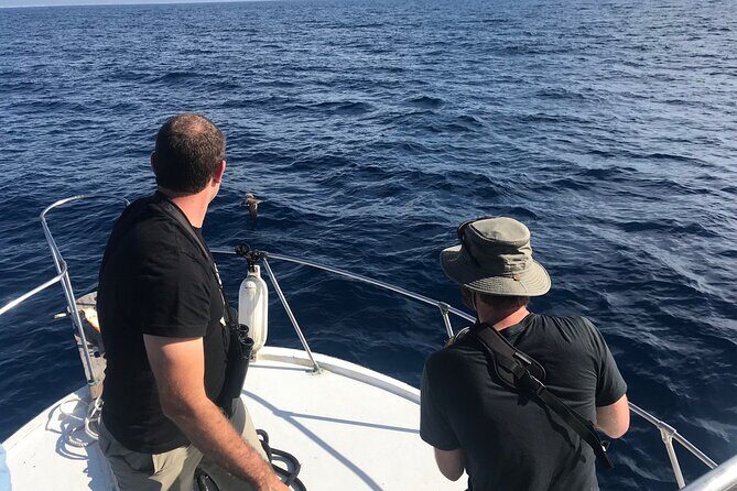 La Paz Mexico Sunset Cruise with Local Guides : small group - The Sum Up