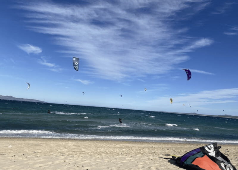 La Paz - Ocean Safari: find dolphins, orcas, and sea lions - FAQ