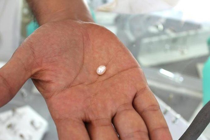 La Paz Paradise: Balandra & beyond - Practical Details and What You’ll Experience