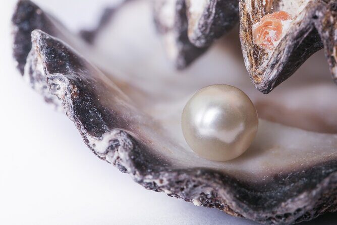 La Paz: Pearl Farm Experience and shop - Introduction