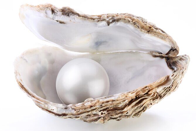 La Paz: Pearl Farm Experience and shop - What to Expect at the Pearl Farm