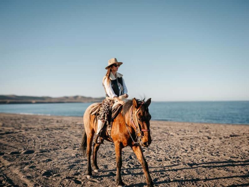 La Paz: Scenic Beach Horseback Ride with Snacks - Who Will Love This Tour?