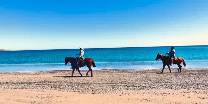 La Paz: Scenic Beach Horseback Ride with Snacks - Frequently Asked Questions