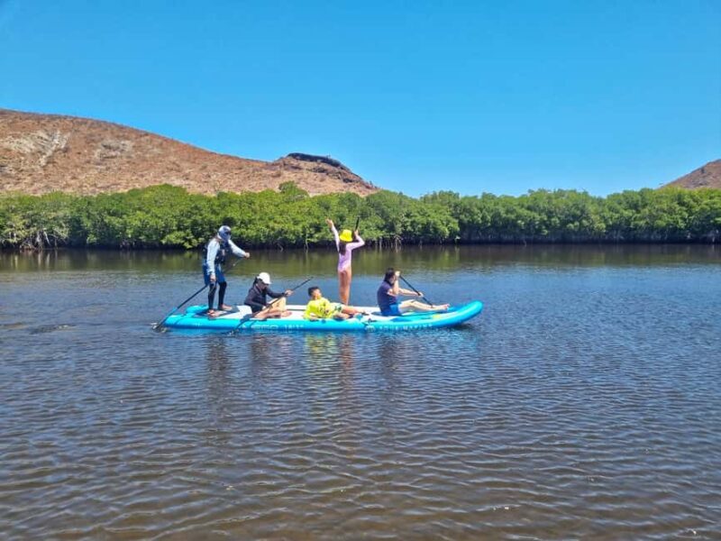 La Paz: Sea Lions & Mega-Paddleboard Tour in Balandra - FAQ