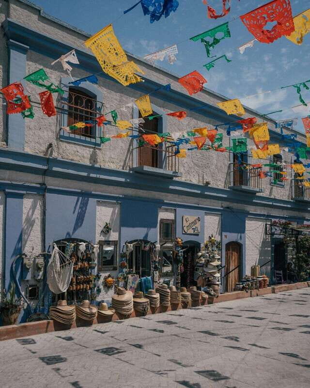 La Paz: Todos Santos Day Trip - Key Points