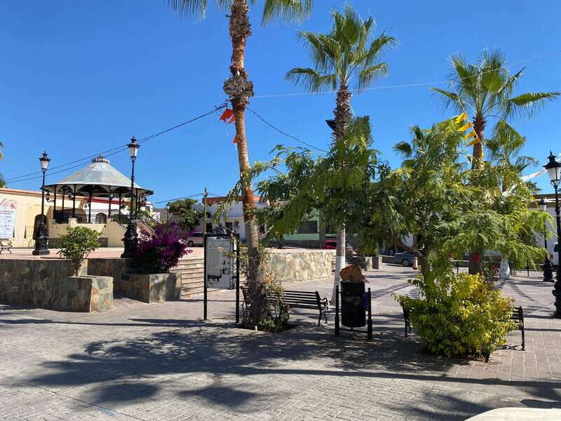 La Paz: Todos Santos Day Trip - Who Should Consider This Tour?