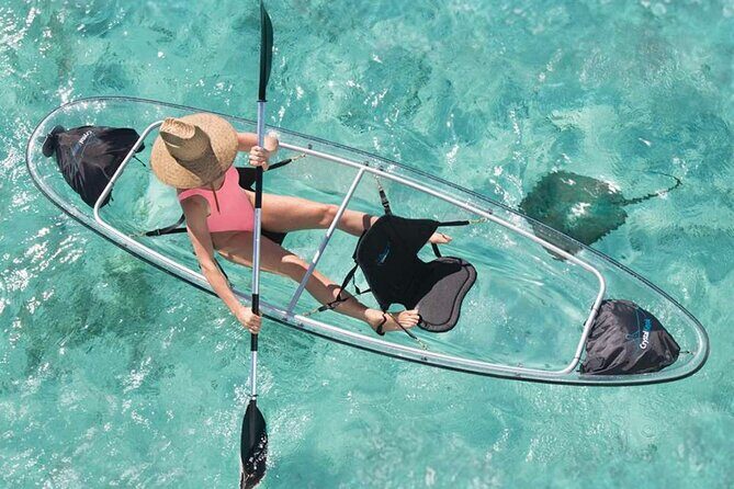 La Paz Transparent Kayaks & Paddle Boards - What to Expect from La Paz Transparent Kayaks & Paddle Boards