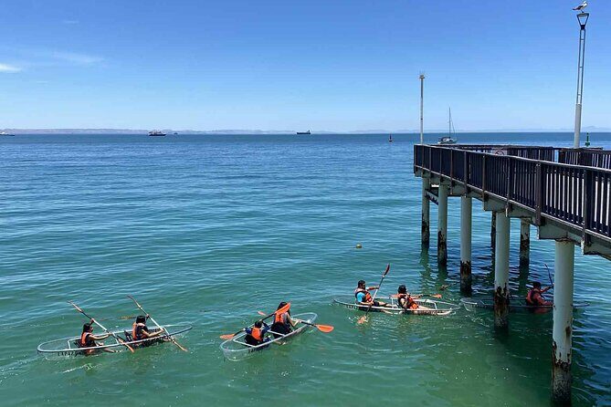 La Paz Transparent Kayaks & Paddle Boards - FAQs