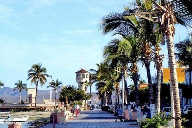 La Paz Whale Shark Snorkeling Tour and Lunch From Los Cabos - Wrapping It Up