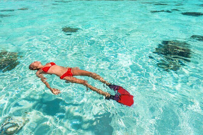 La Paz World class Snorkeling in Balandras Hidden Beaches - What This Tour Offers at a Glance