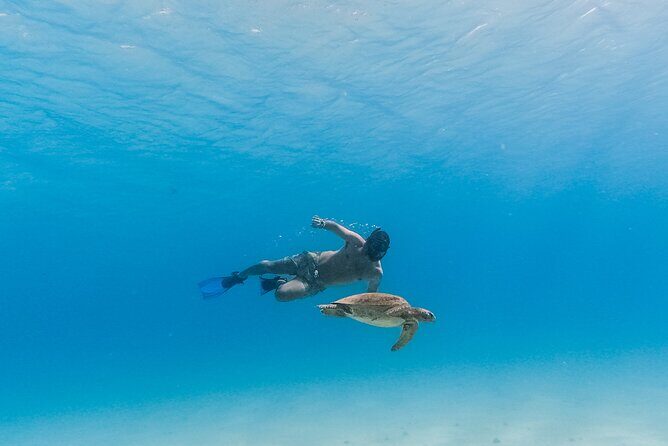 La Paz World class Snorkeling in Balandras Hidden Beaches - The Long Journey and Considerations