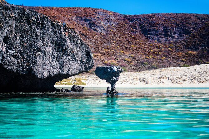 La Paz World class Snorkeling in Balandras Hidden Beaches - Who Is This Tour Best For?