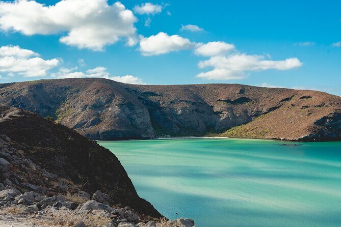 La Paz World class Snorkeling in Balandras Hidden Beaches - The Bottom Line